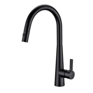 Matte Black Pull Out Kitchen Mixer